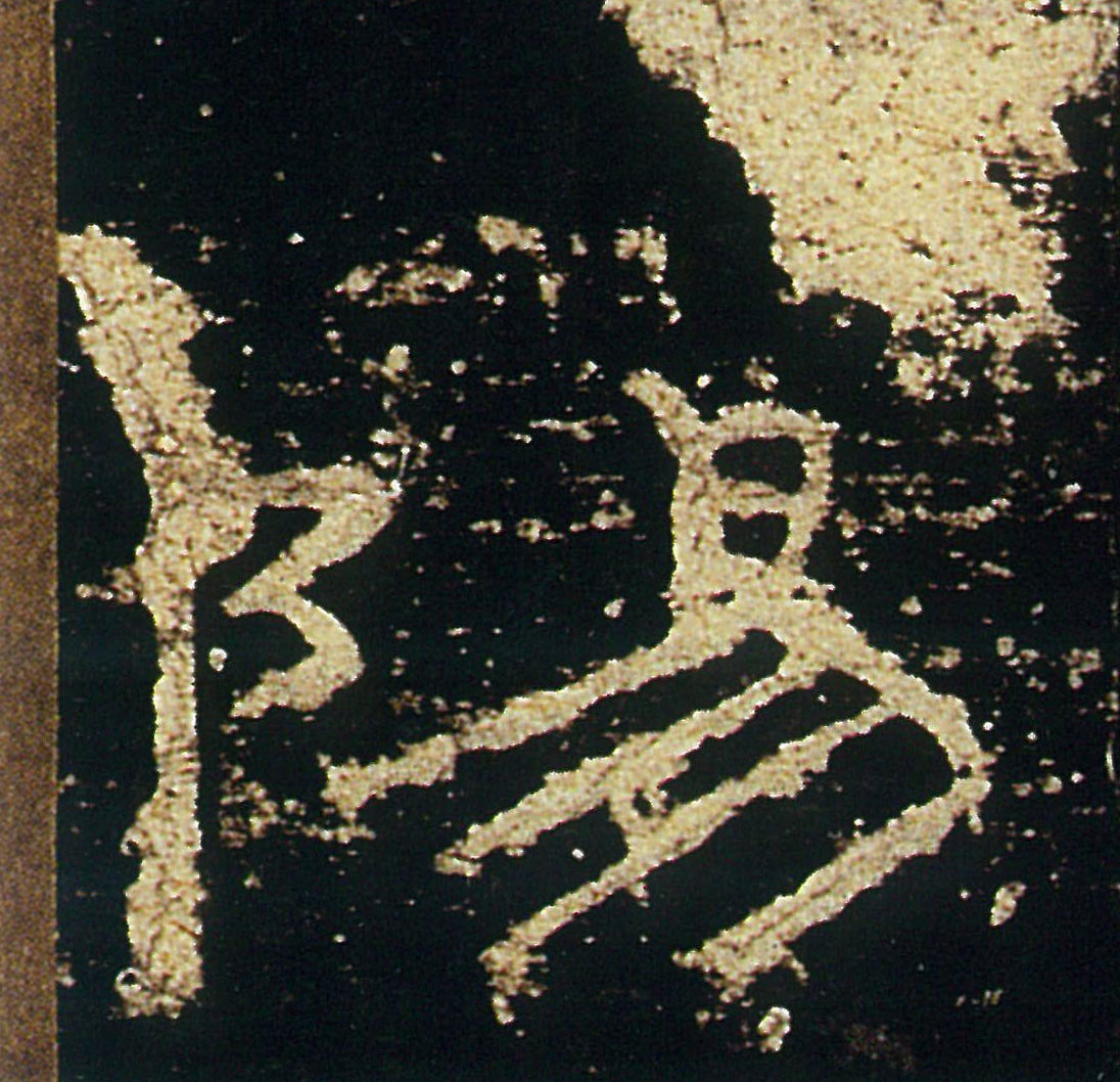 �������ϸ����