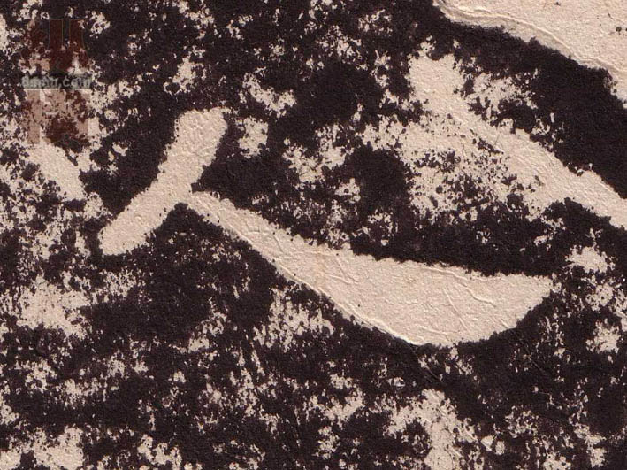 �������ϸ����