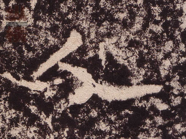 �������ϸ����