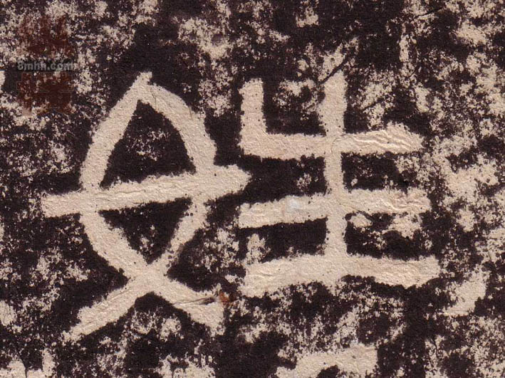 �������ϸ����