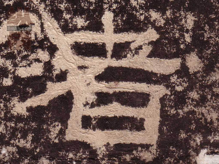 �������ϸ����