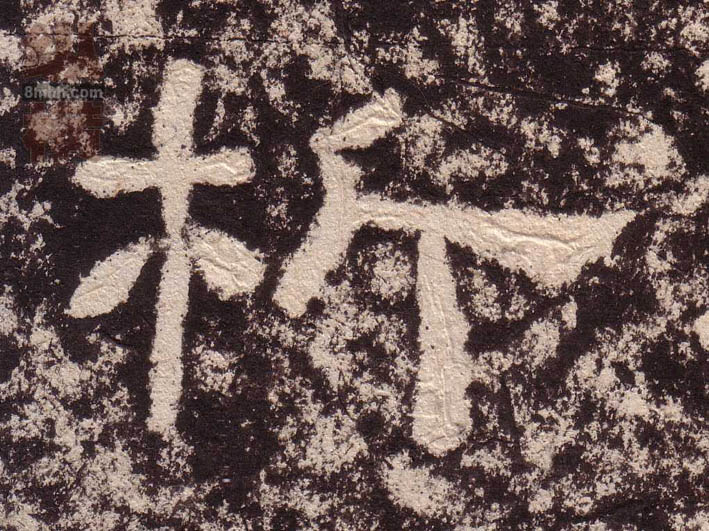 �������ϸ����