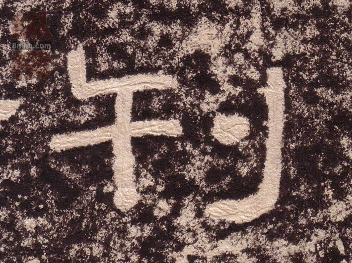 �������ϸ����