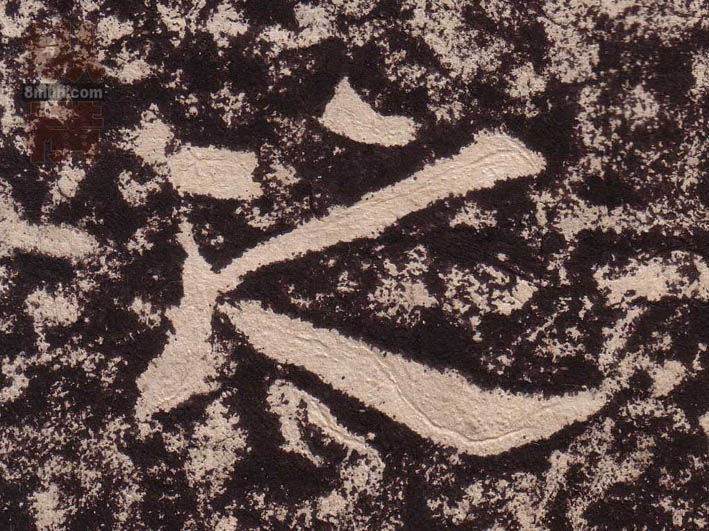 �������ϸ����