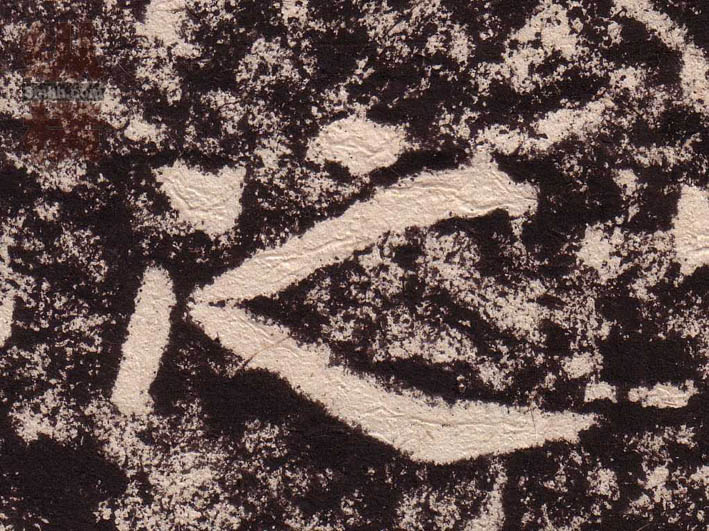 �������ϸ����