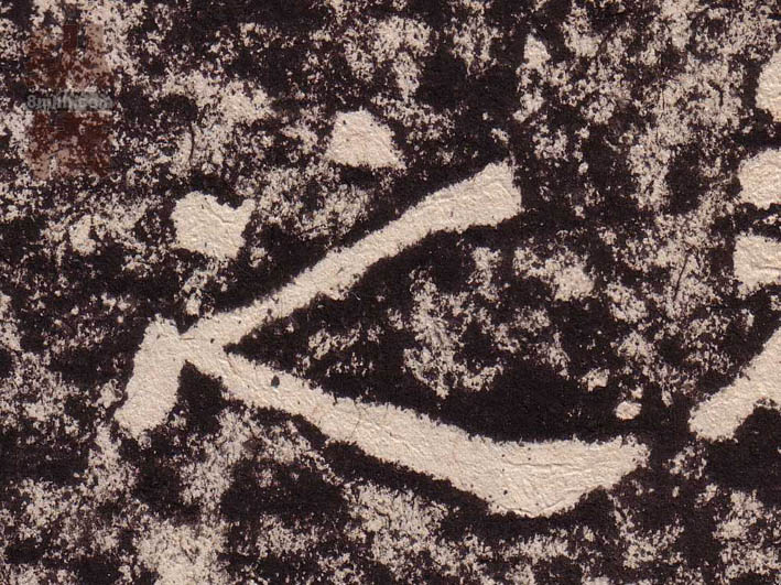 �������ϸ����