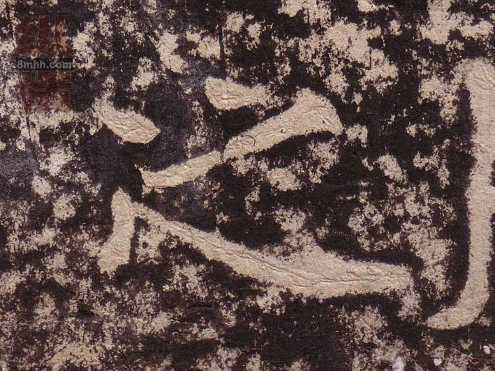 �������ϸ����