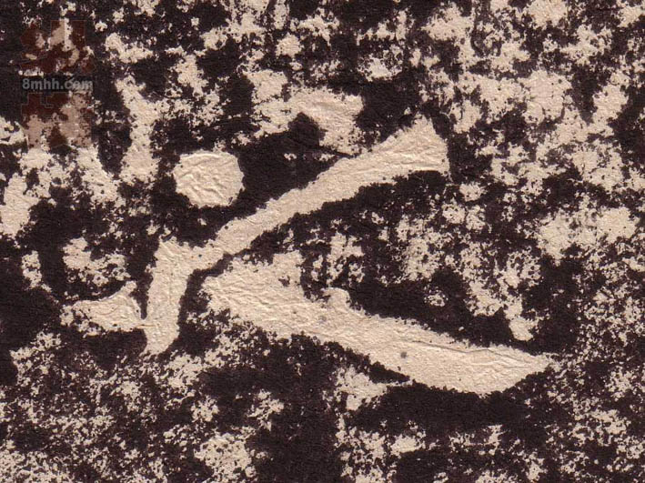 �������ϸ����