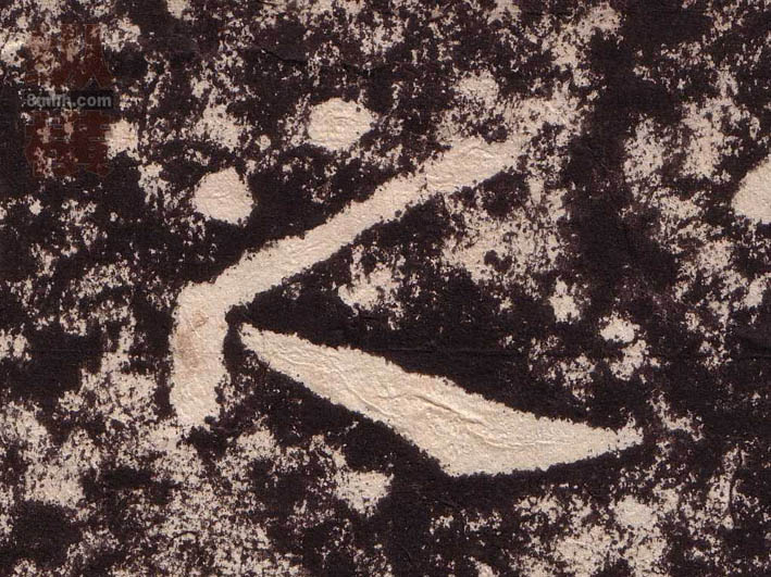 �������ϸ����