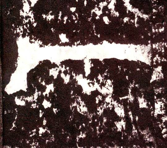 �������ϸ����