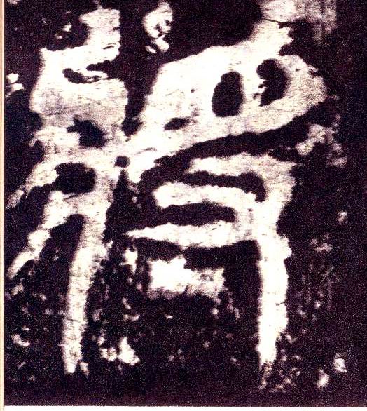 �������ϸ����