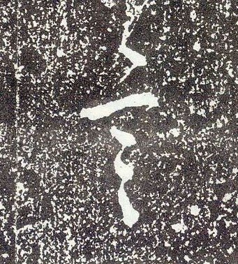 �������ϸ����