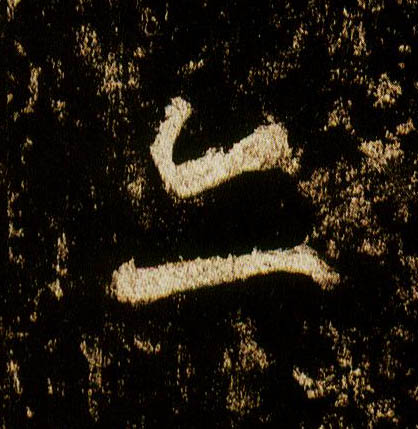 �������ϸ����