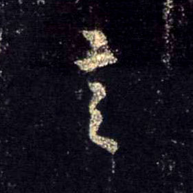 �������ϸ����