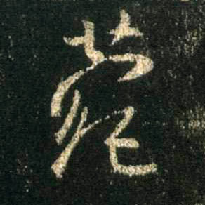 �������ϸ����