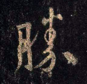 �������ϸ����