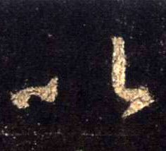 �������ϸ����