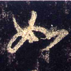 �������ϸ����