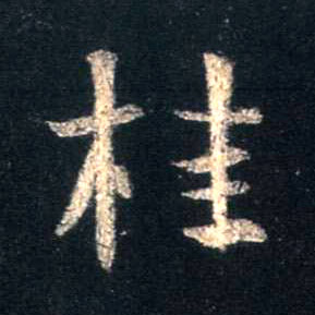 �������ϸ����