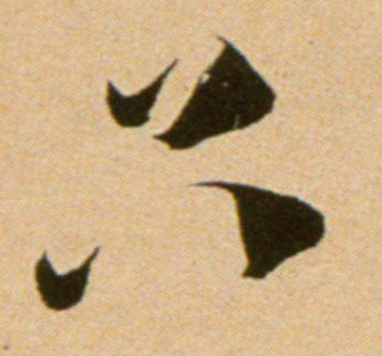 �������ϸ����