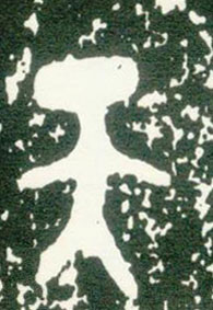 �������ϸ����