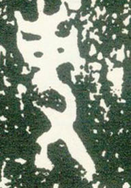 �������ϸ����