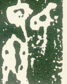 �������ϸ����