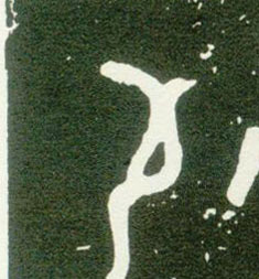 �������ϸ����