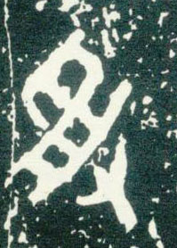 �������ϸ����