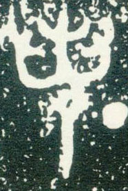 �������ϸ����