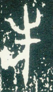 �������ϸ����