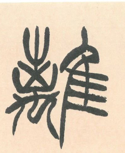 �������ϸ����