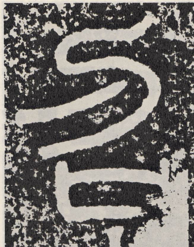 �������ϸ����