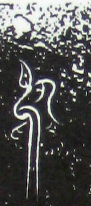 �������ϸ����