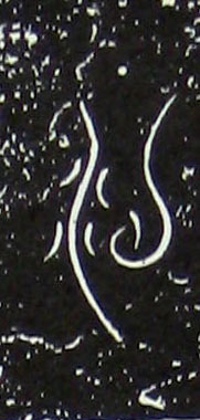 �������ϸ����