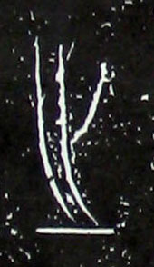 �������ϸ����