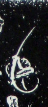 �������ϸ����