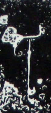 �������ϸ����