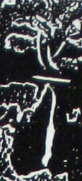 �������ϸ����