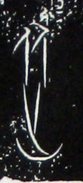 �������ϸ����