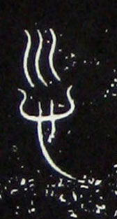 �������ϸ����