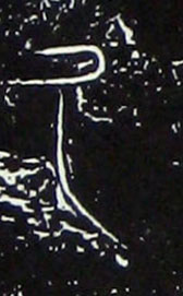 �������ϸ����