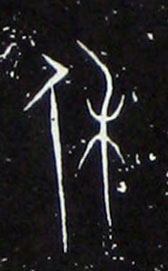 �������ϸ����