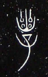 �������ϸ����