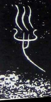 �������ϸ����