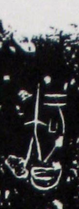 �������ϸ����