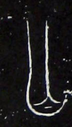 �������ϸ����