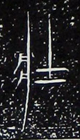 �������ϸ����