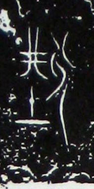 �������ϸ����