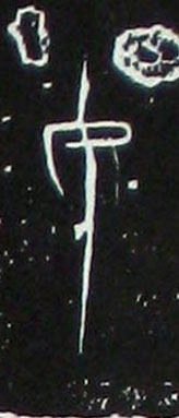 �������ϸ����